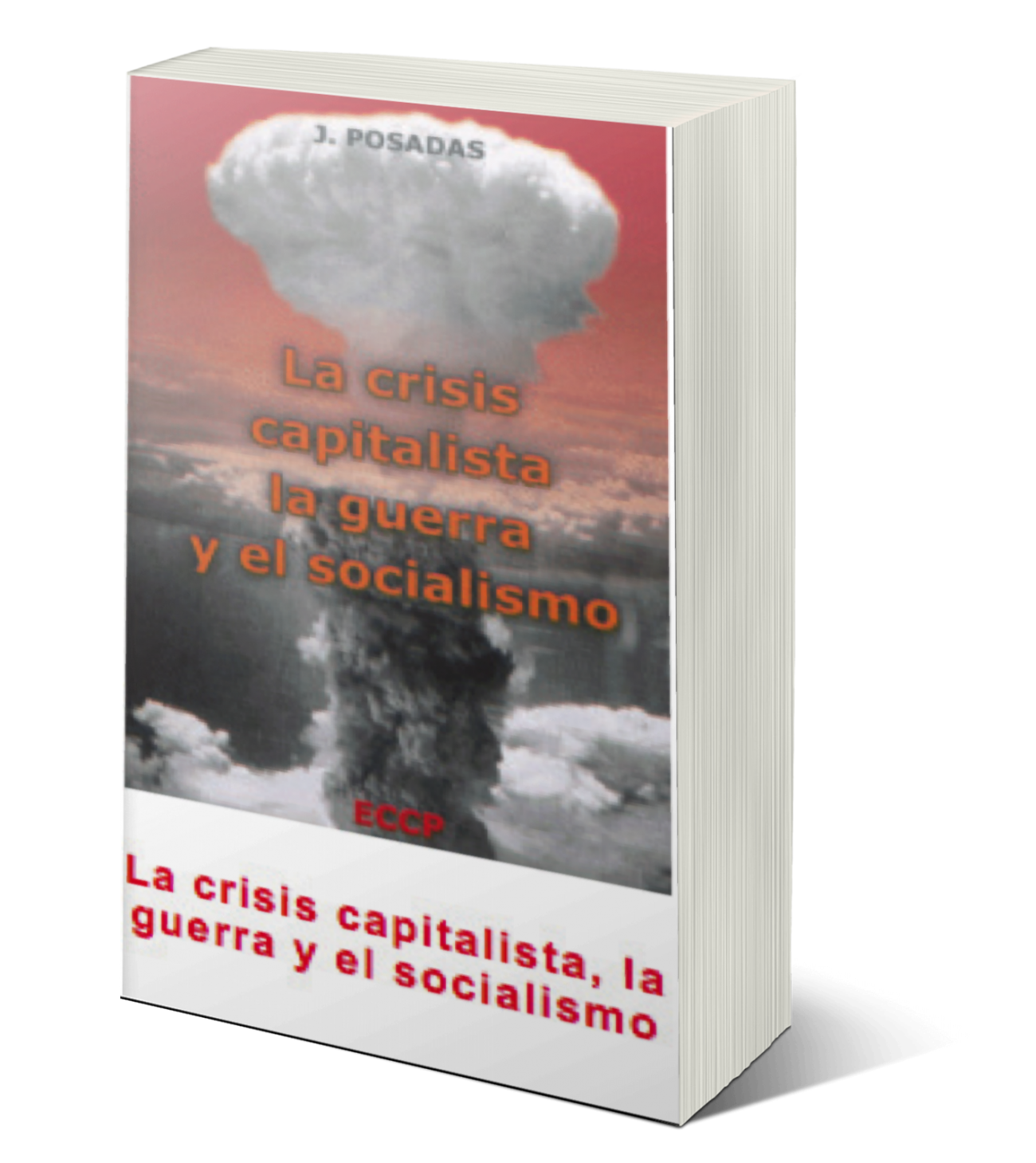 La crisis capitalista, la guerra y el socialismo