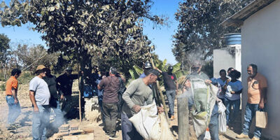 O Plano Safra da Agricultura Familiar caminha junto com a Defesa da Soberania Nacional